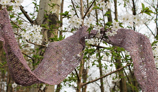 Clockflower Scarf