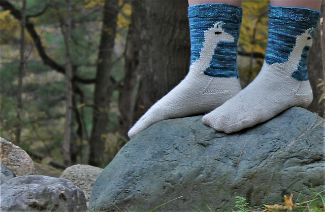 Como Te Llama Socks