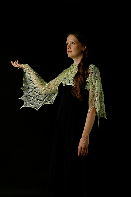 Flight Of The Wild Silk Moths