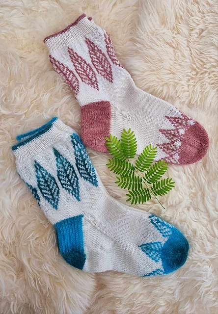Salix socks