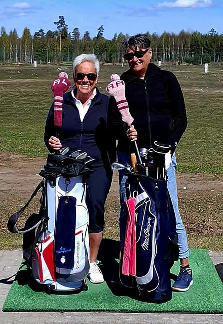 Golf Driver head cover