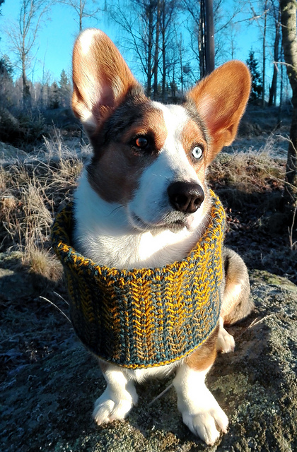 A Touch of Pizzazz Cowl