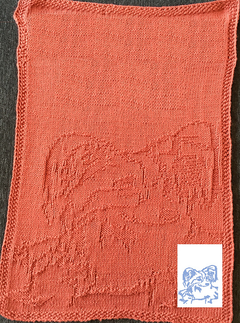 Nr. 69 Papillion dog guest towel