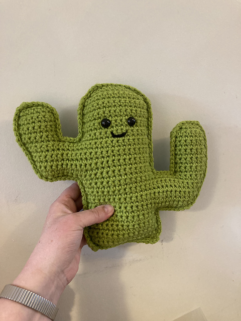 Cactus Buddy