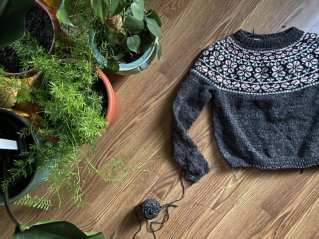 Candytuft Pullover