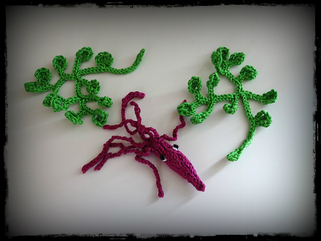 Mermaid's cup seaweed