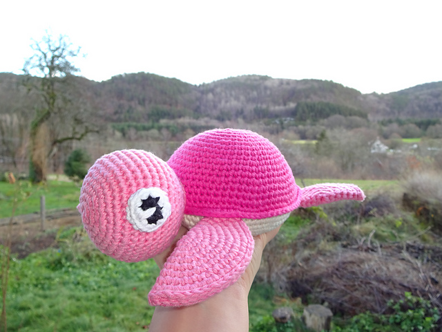 Turtle