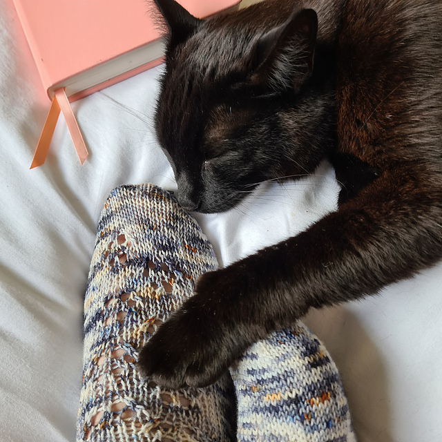 Toe Beans