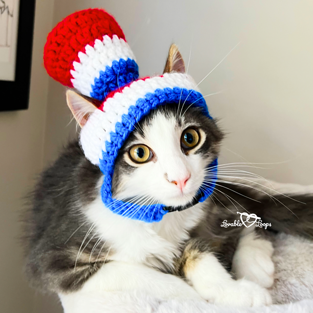Patriotic Hat for Cat