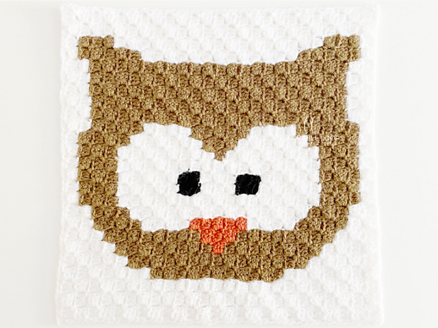 c2c Owl