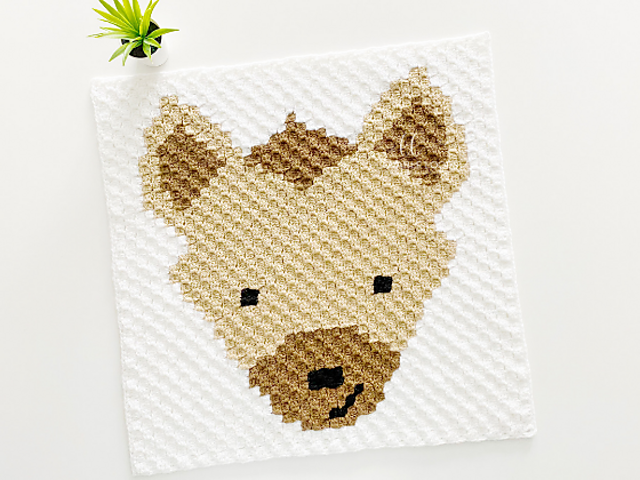 c2c Hyena