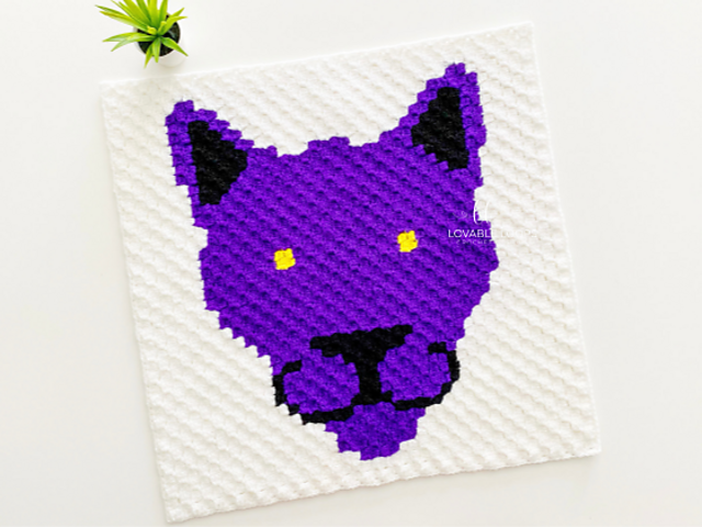 c2c Panther