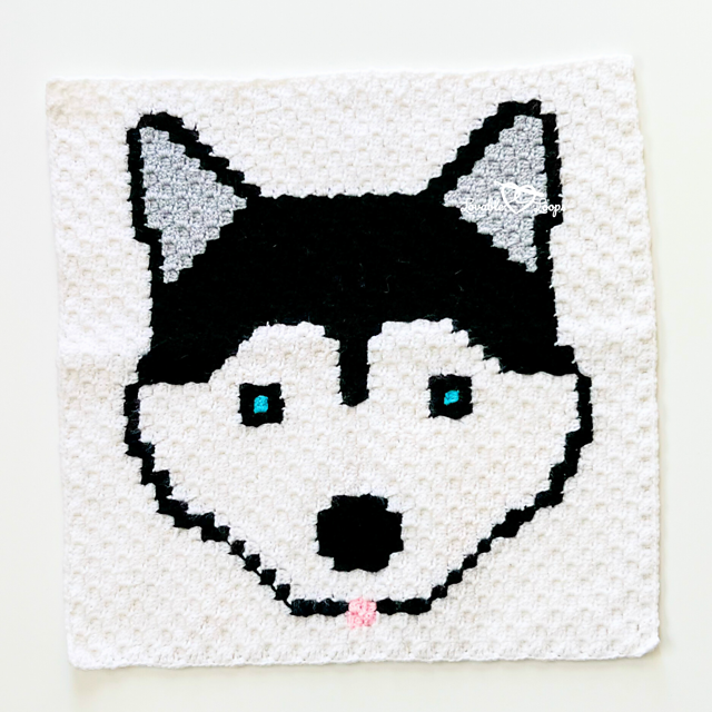 Husky Dog Square