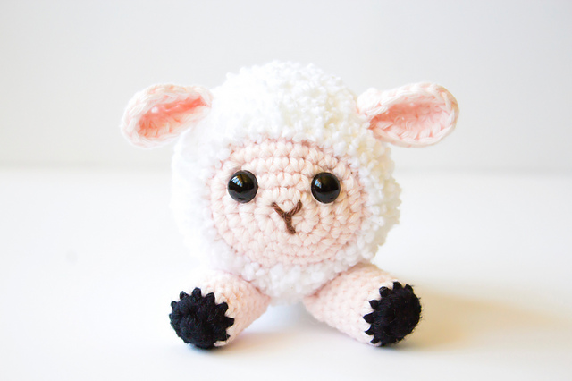 Lilly the lovely lamb