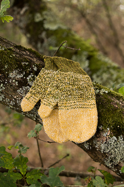 Lichen