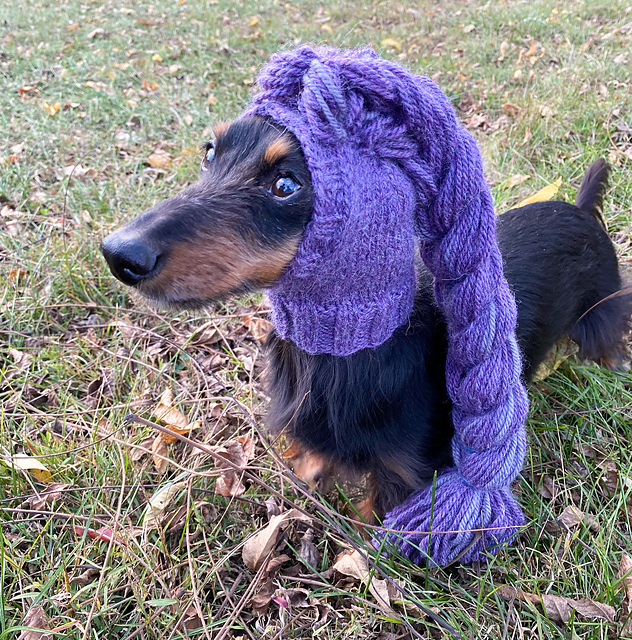 Purple Dragon Braid Dog Hat