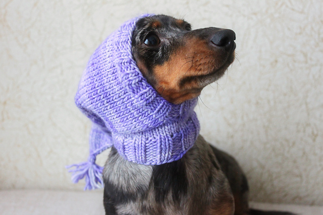 Dog Hat