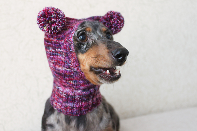 Purple Small Dog Hat