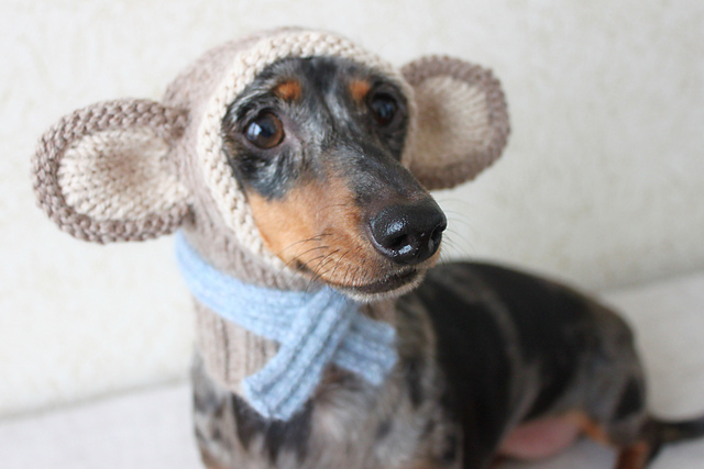 Mini Dachshund Monkey Hood