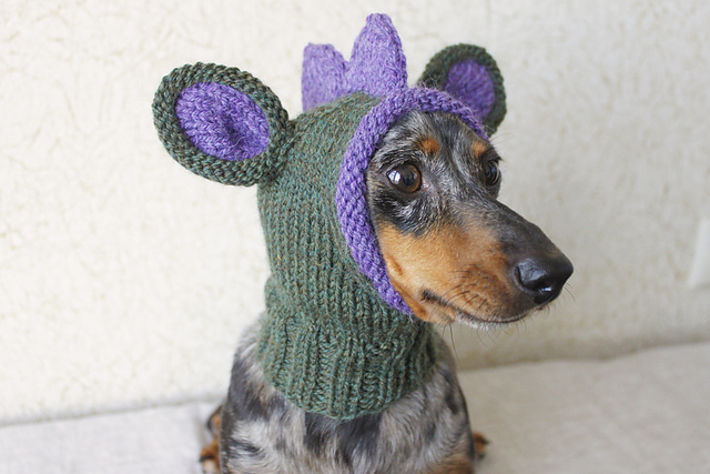Doxie Dino Hood