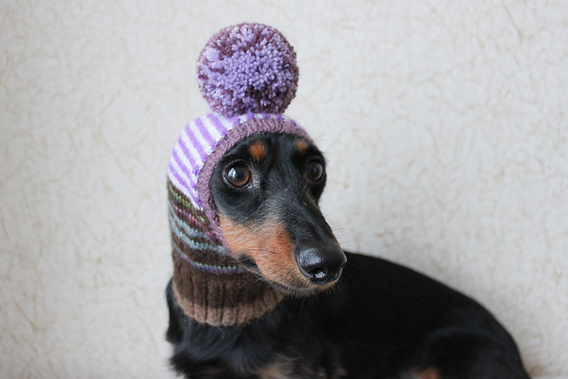 Scrap Yarn Small Dog Hat