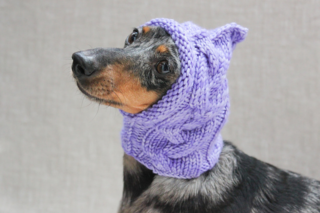 Cabled Dog Hat