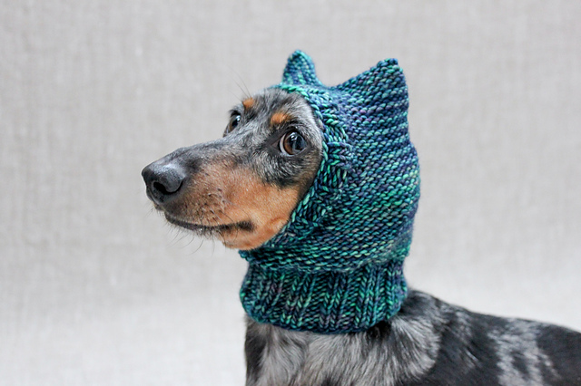 Dog Hat 37