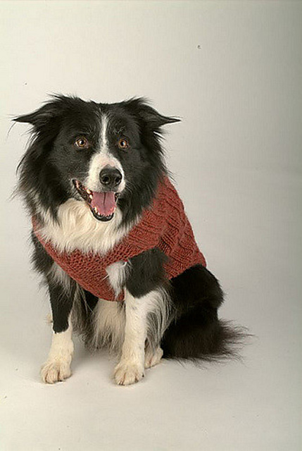 Big Penny Sweater
