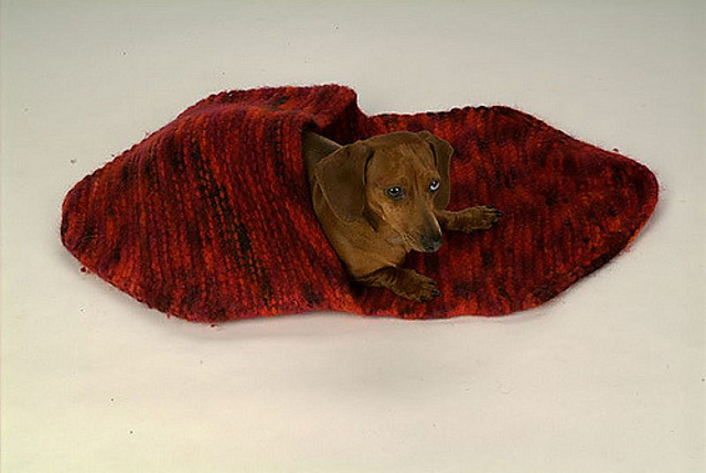 Pet Pocket