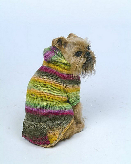 Gidget Hoodie
