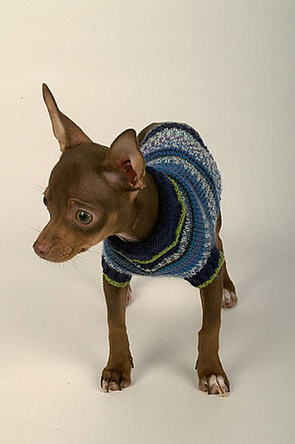 Astro Sweater