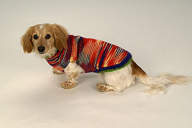 Olly Sweater