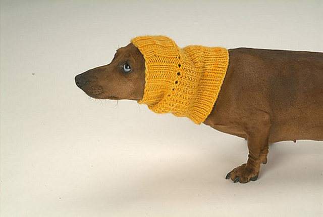 Frieda Snood