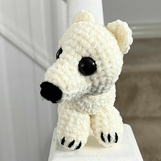 Polar Bear Cub