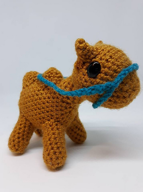 Ken the Camel
