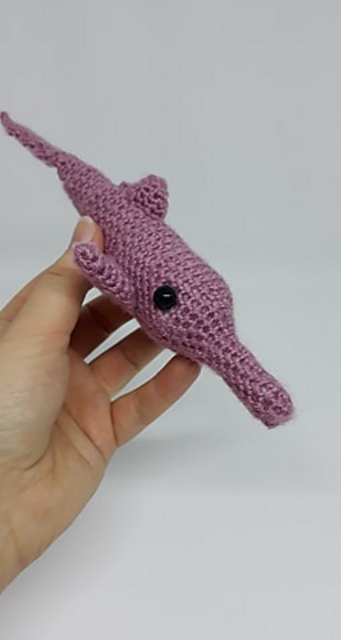 Amazon River Dolphin