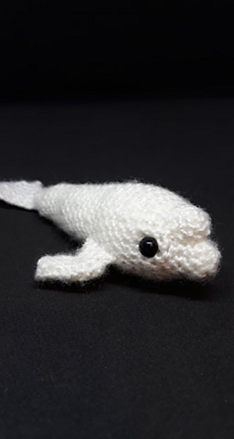 Beluga Whale