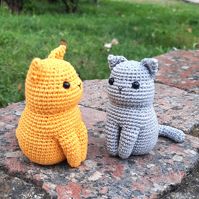 Solid color cat