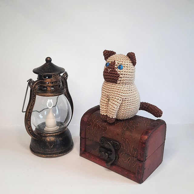 Sitting Siamese cat