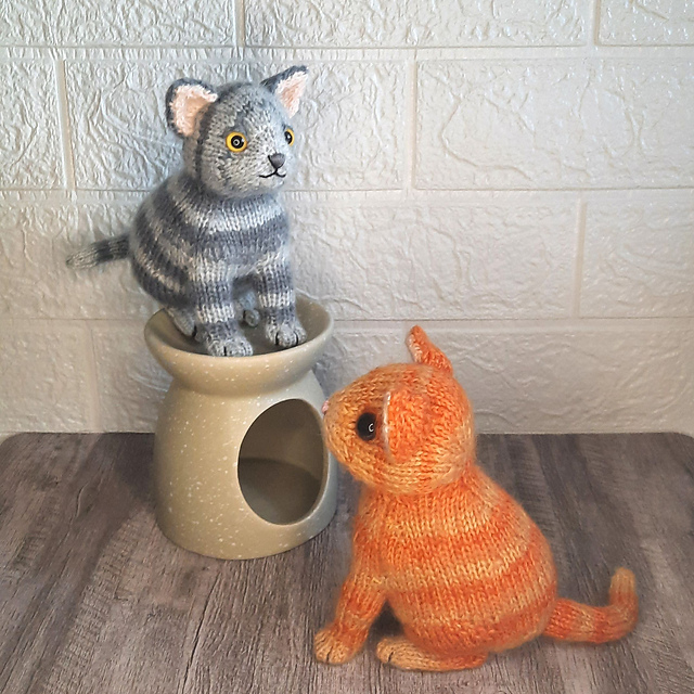 Sitting tabby kitten