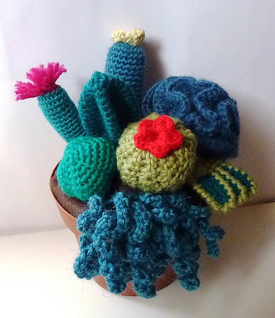 Piantine grasse amigurumi