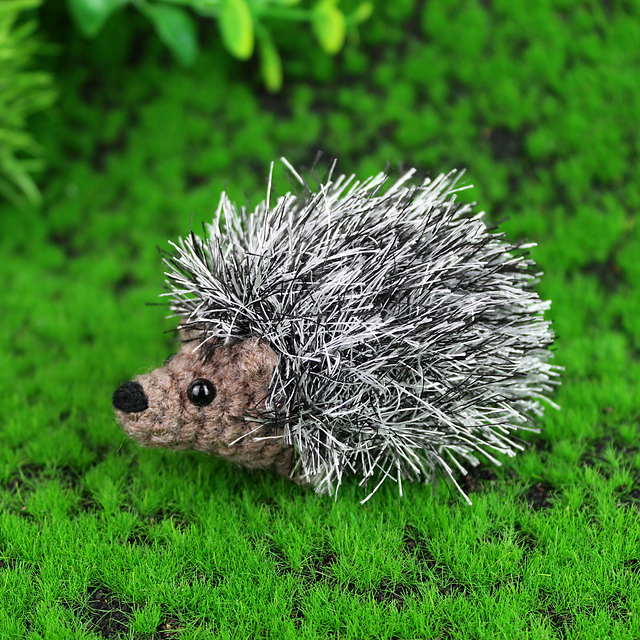 Baby Hedgehogs