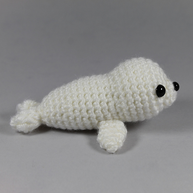 Baby seal