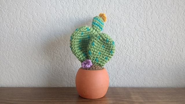 Cactus