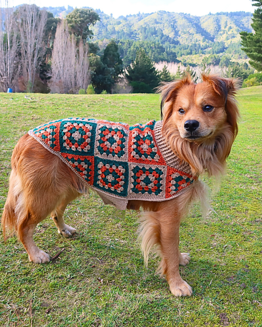 Scottish Cape