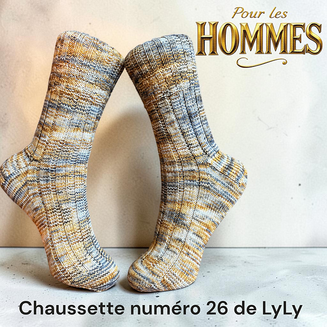 Chaussette numéro 26 de LyLy