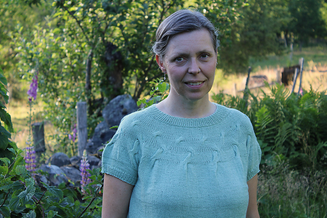 Fjärilsvingar