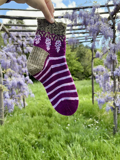 Cascade de Glycine