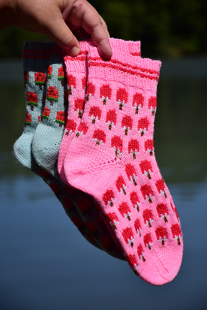 Chaussettes Club Sorbet