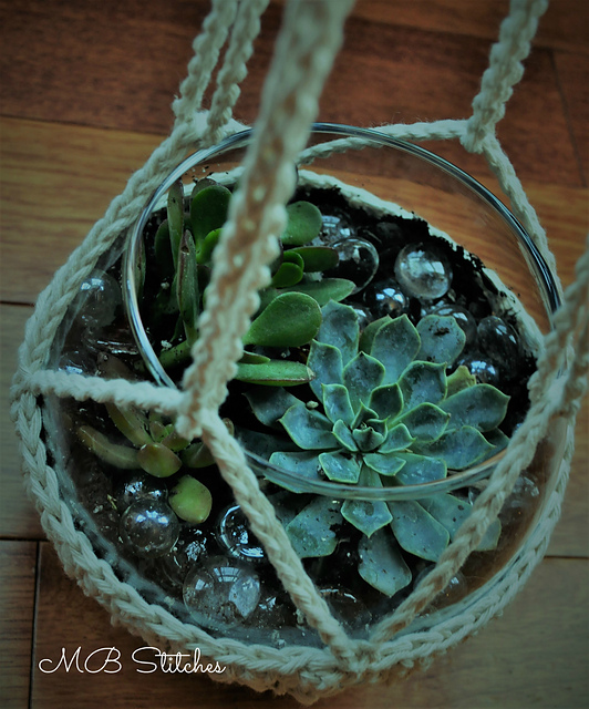 Large Succulent Holder